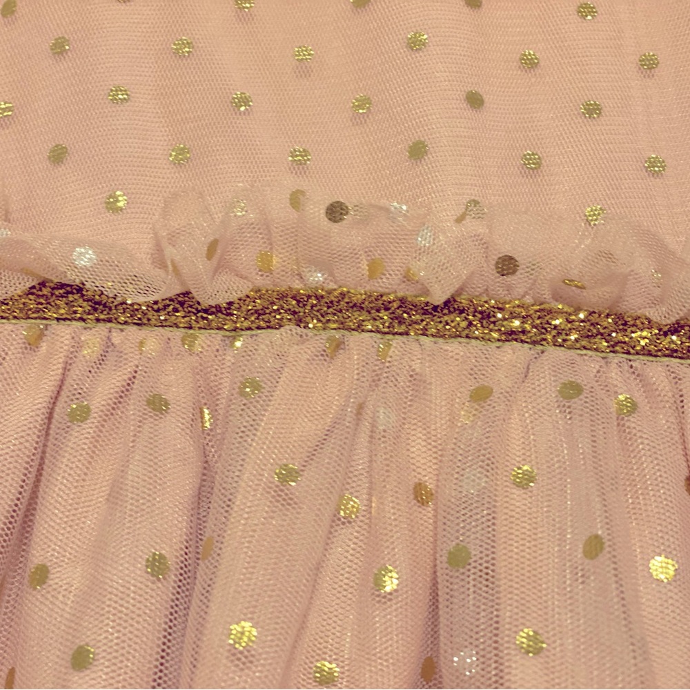 4T Carter’s Party Dress